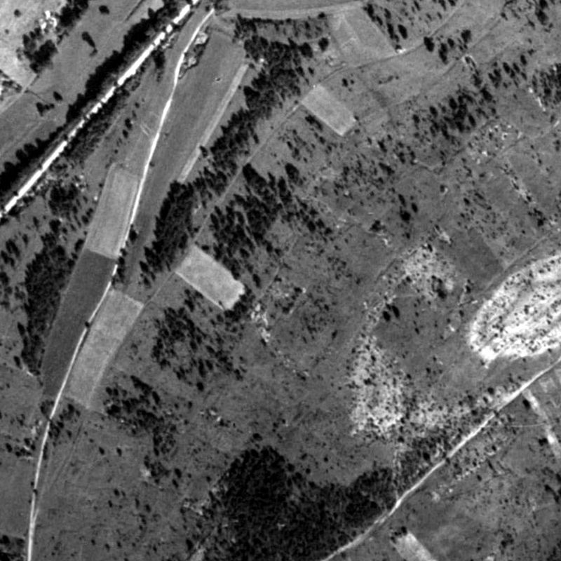 Aerial photograph of Basse Maison in September 1948: open grassland, scattered pines, a dark triangular wood