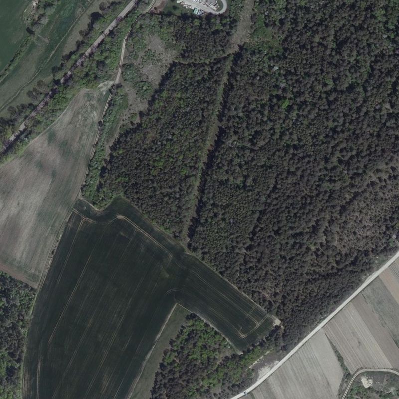 The same ground today: vineyards and fields, a large pine wood to the north-east