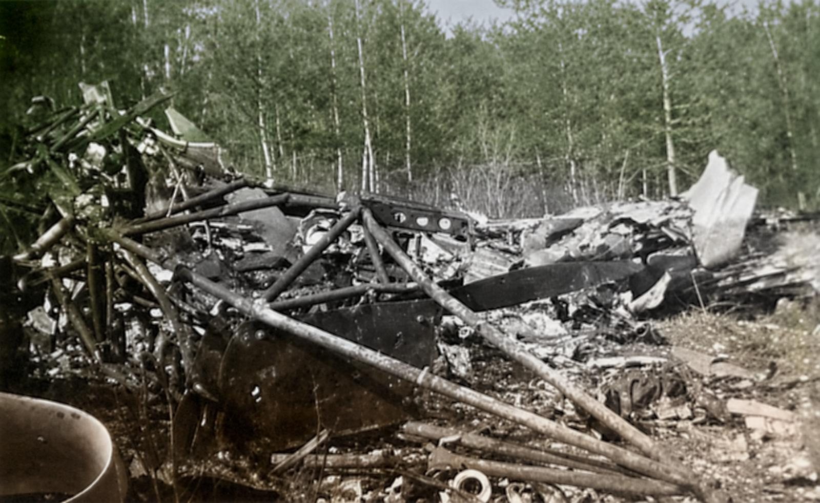 Burnt-out wreckage: the tubular frame of an engine mounting and scorched panels, a stand of thin trees behind