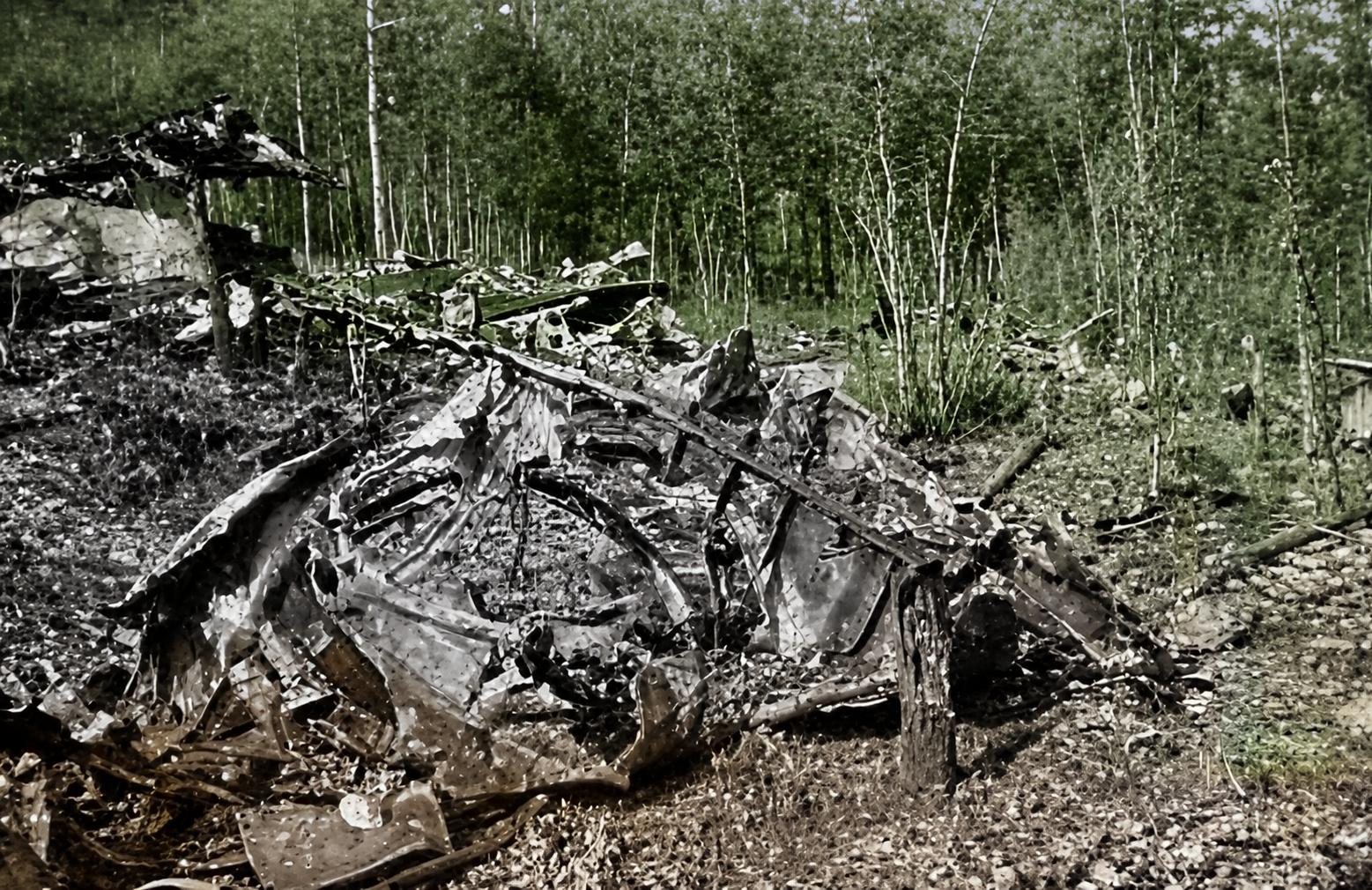 Crushed, holed aluminium skin and spars lying on stony ground among young birch trees