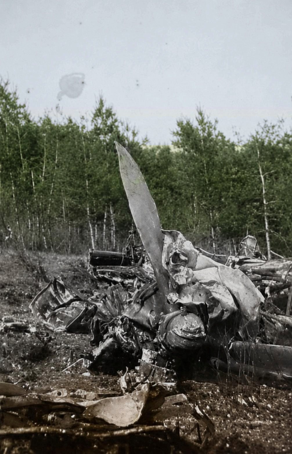 A single propeller blade standing upright from a crushed engine and its reduction gear, trees behind